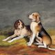 During 19th century watercolor paintings Anglo-artesian dogs and recri signed H. de LC