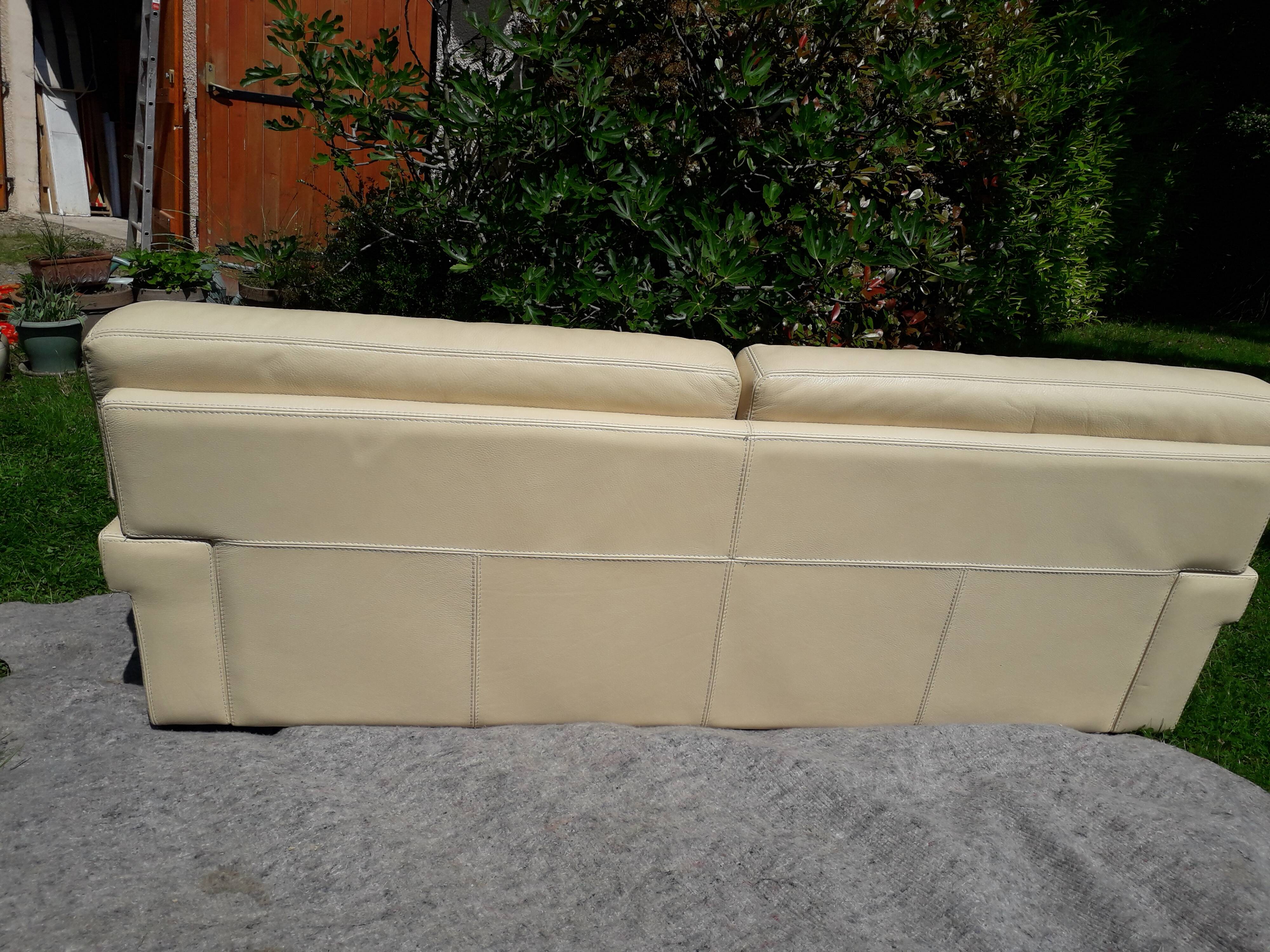 Canape cuir roche bobois