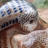 Ceramic signed duck in glazed stoneware, vintage 1960.