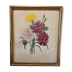 Antique botanical frame – “Carnation Variety” – Gilded wood
