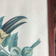 Gravure, Toucan Ariel, Descourtilz
