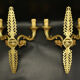Pair of Empire style palmette sconces - Hettier & Vincent
