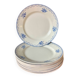 Antique flat plates St Amand Céranord