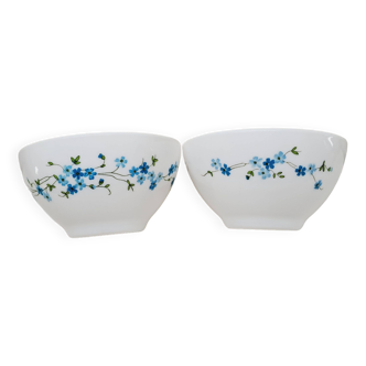 Pair of Arcopal breakfast bowls