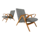 Mid-Century Modern Pair of Armchairs, 1950s, Czech Republic (New Ulphostery)