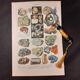 Lithographie sur les minéraux de 1922 (pyrite)