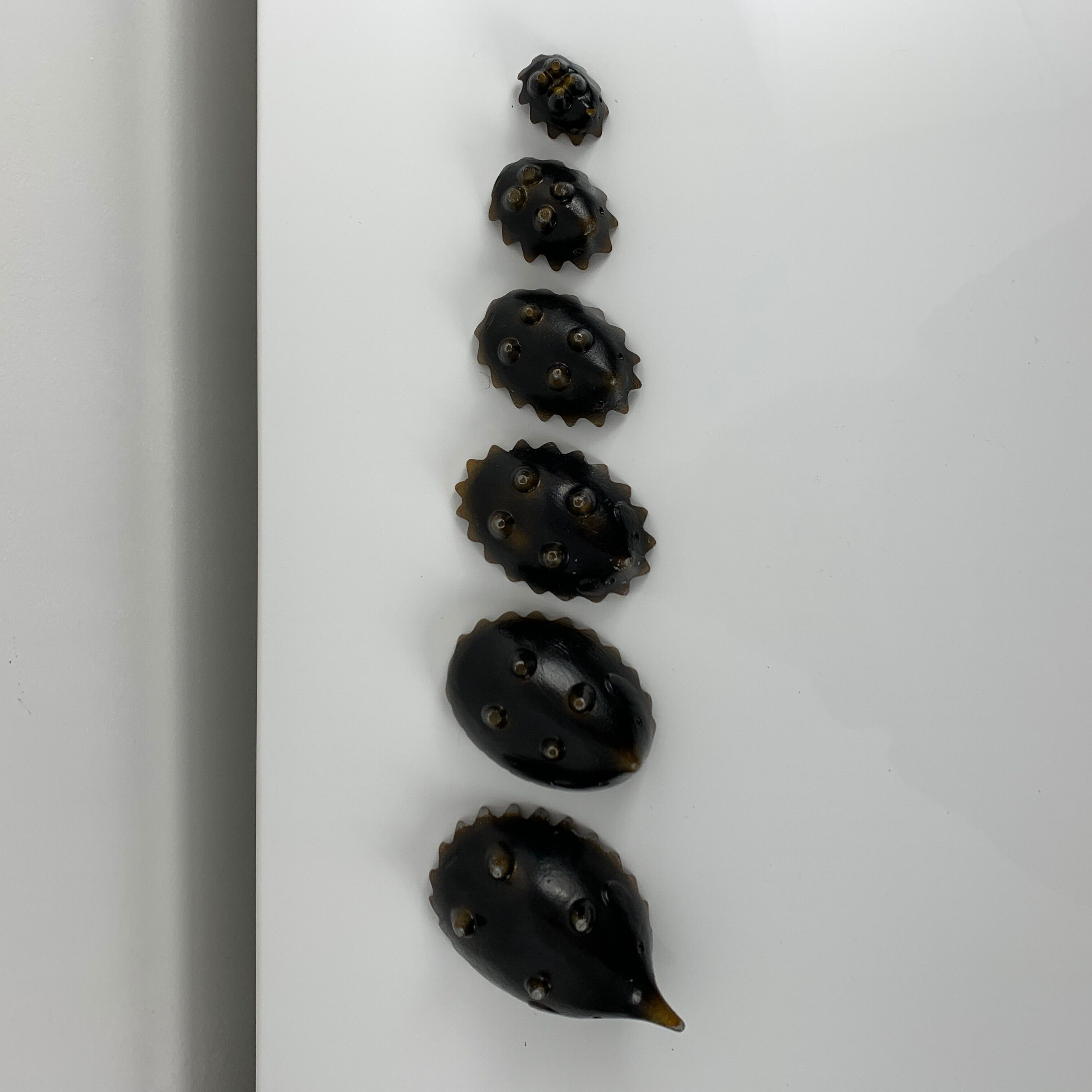 Herisson Ashtray Series