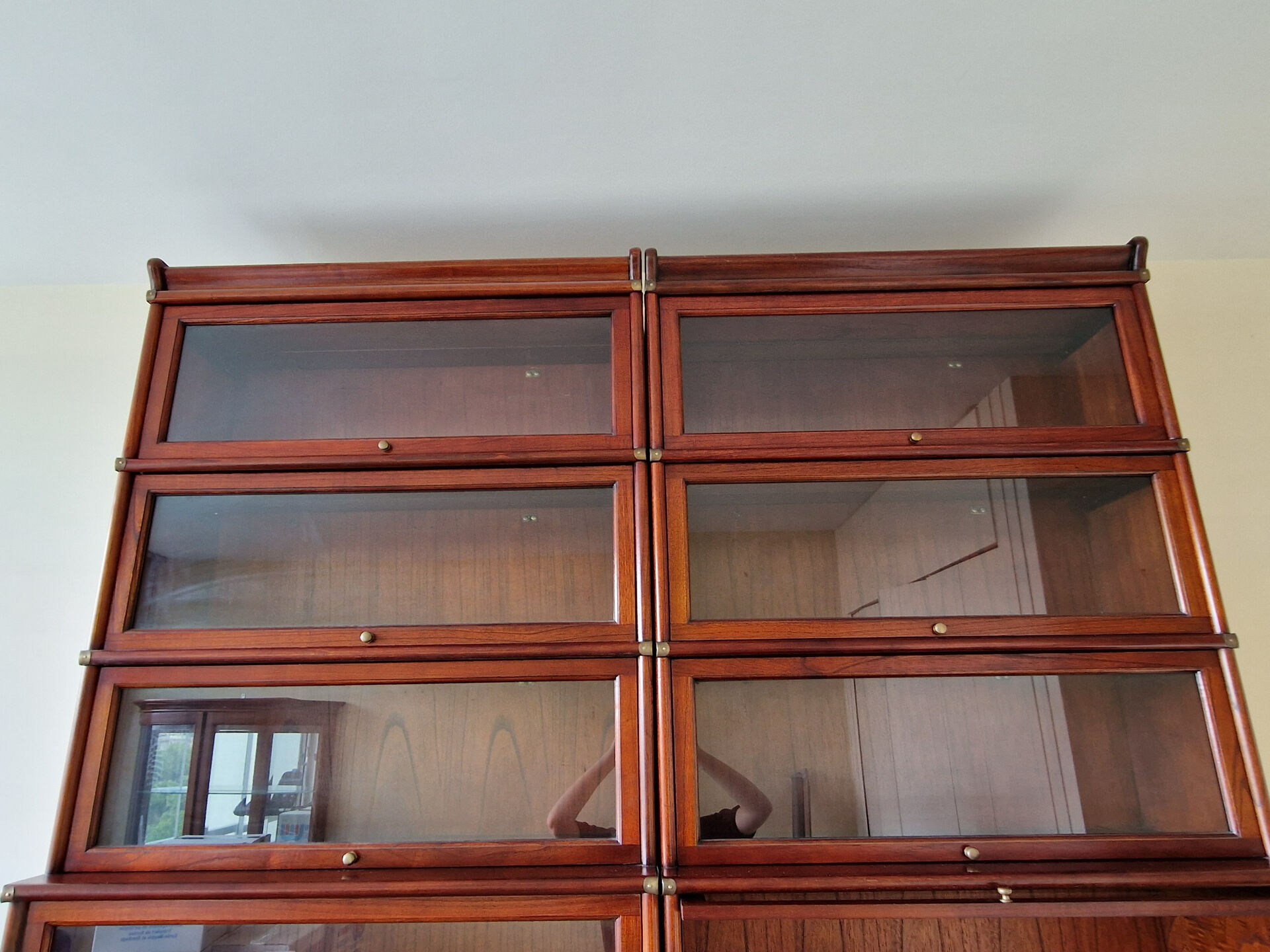 Globe Wernicke Library