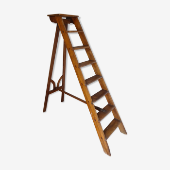 Library ladder