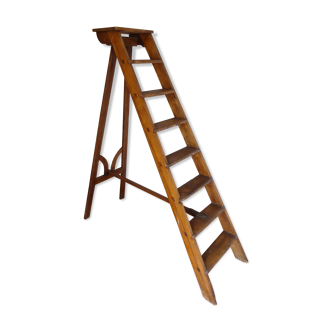 Library ladder