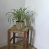 Vintage country stool