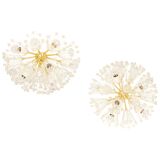 Star Ceiling Light in Brass and Crystal by Emil Stejnar, Austria, 1960s