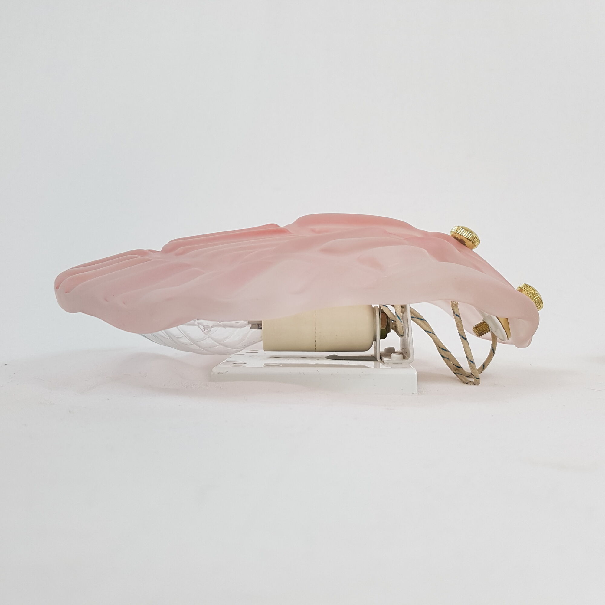 Pair of sconces shell pressed glass sand and Golden steel 1970