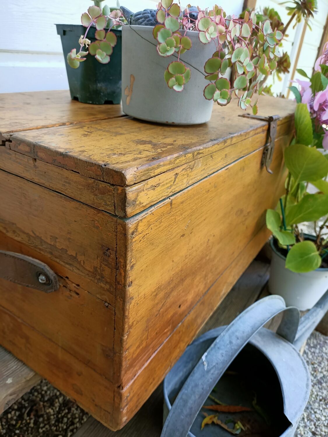 Wooden trunk