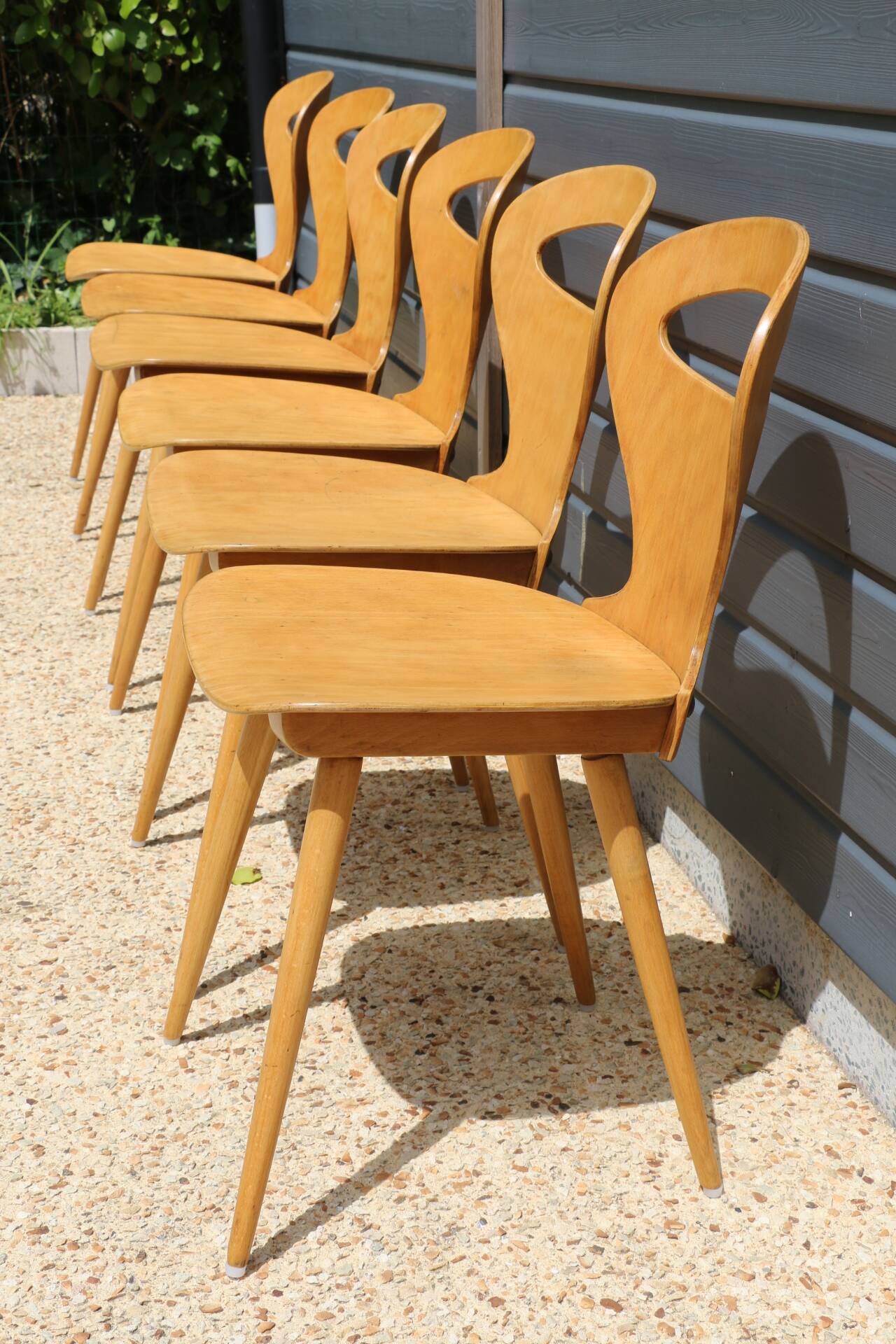 6 BAUMANN V2 chairs in light beech