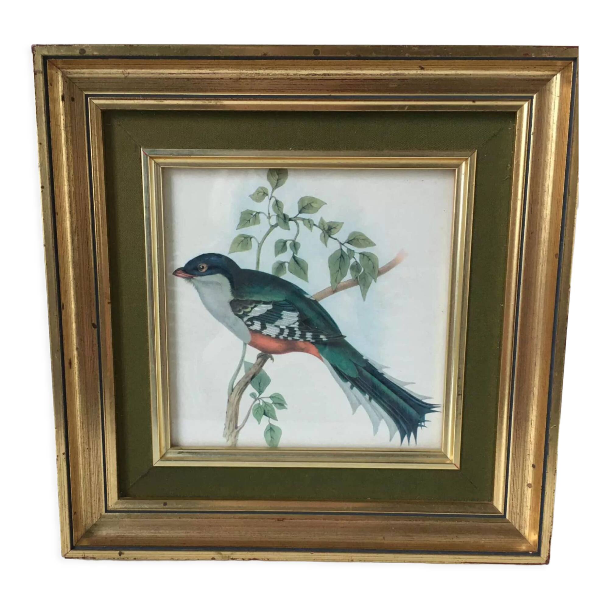 Table reproduction "beautiful colorful bird", gilded wood frame and green fabric