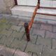 Vintage bamboo towel holder