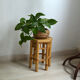 Porte-plante en bambou