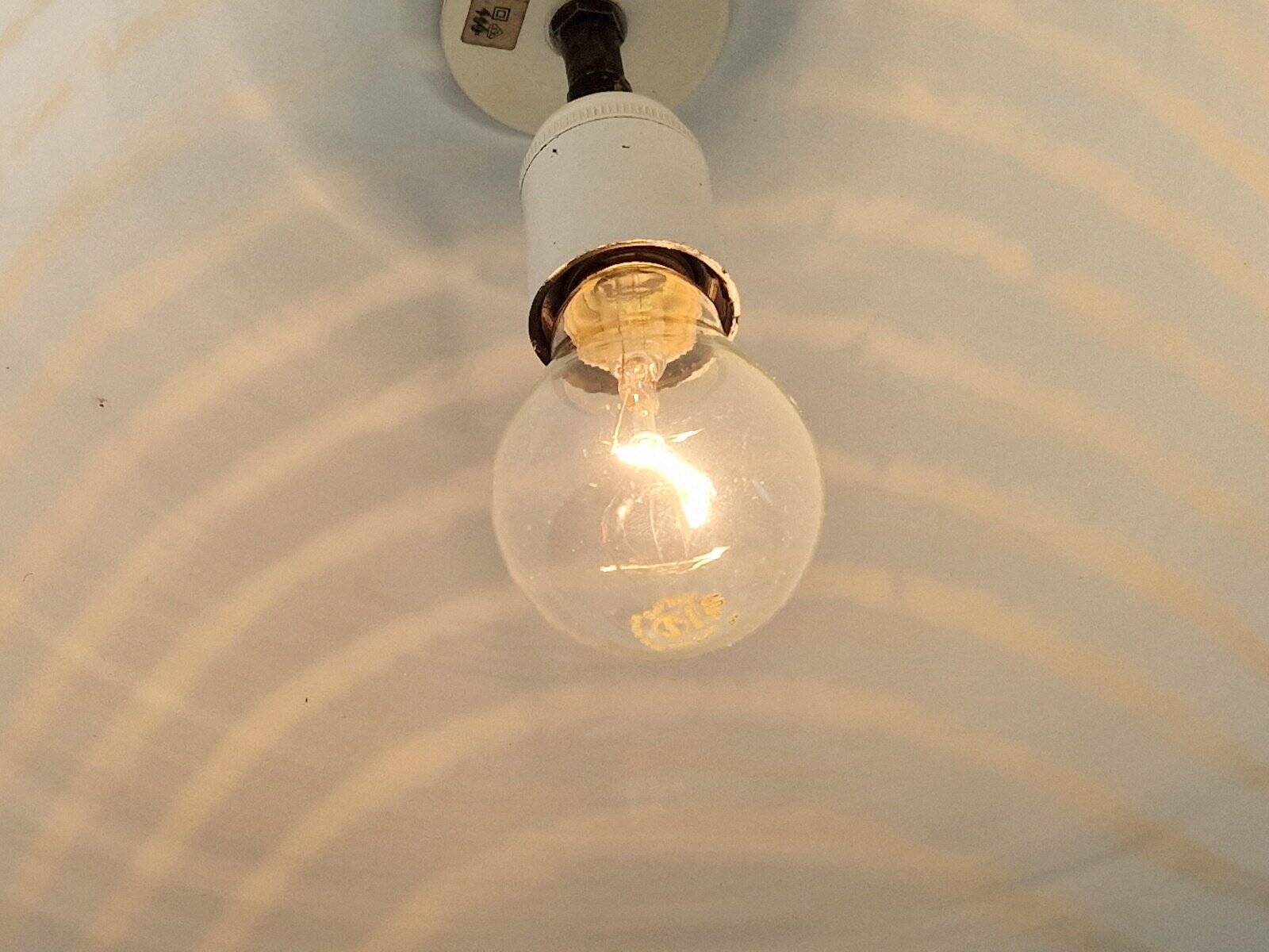 Vintage Pendant Zebra Lamp from Peill & Putzler, 1960s