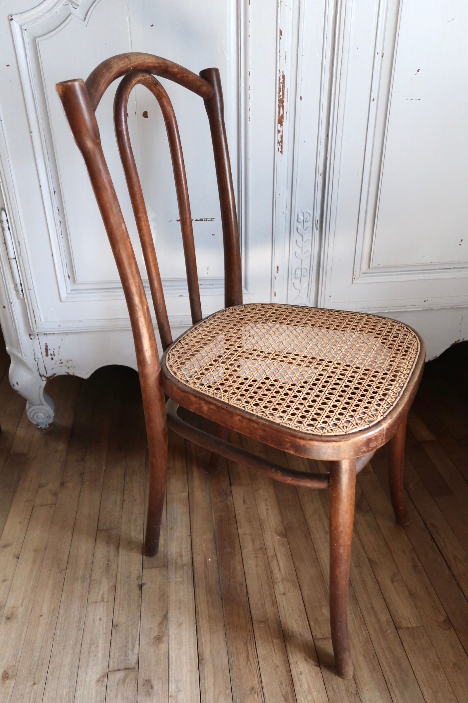 Canned bistro chair Thonet N°56 years 40