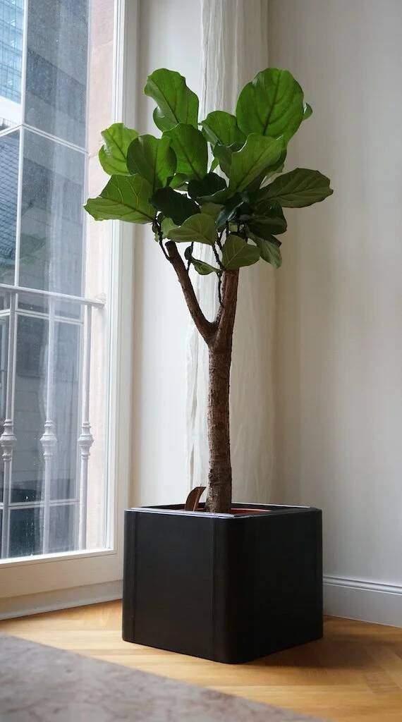 Mid-century leather planter by De Sede