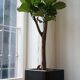 Mid-century leather planter by De Sede