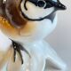 Small bird vintage german porcelain