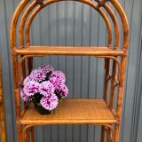 Antique rattan bookcase