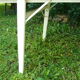 wooden folding garden table
