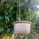 Vintage hanging cache pot - Signed studio ceramic by Griet Malfait