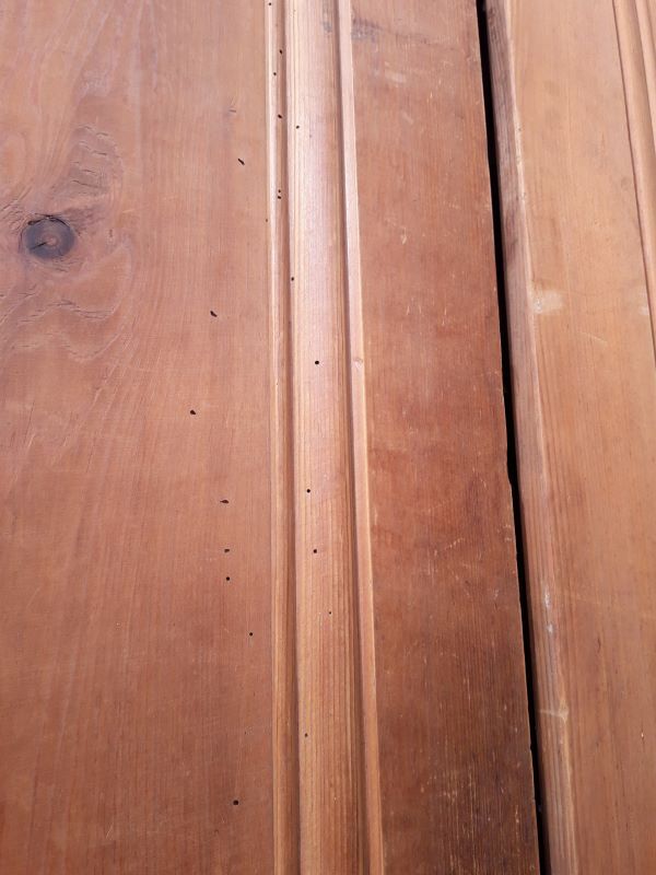 Pair of doors 248x129cm old