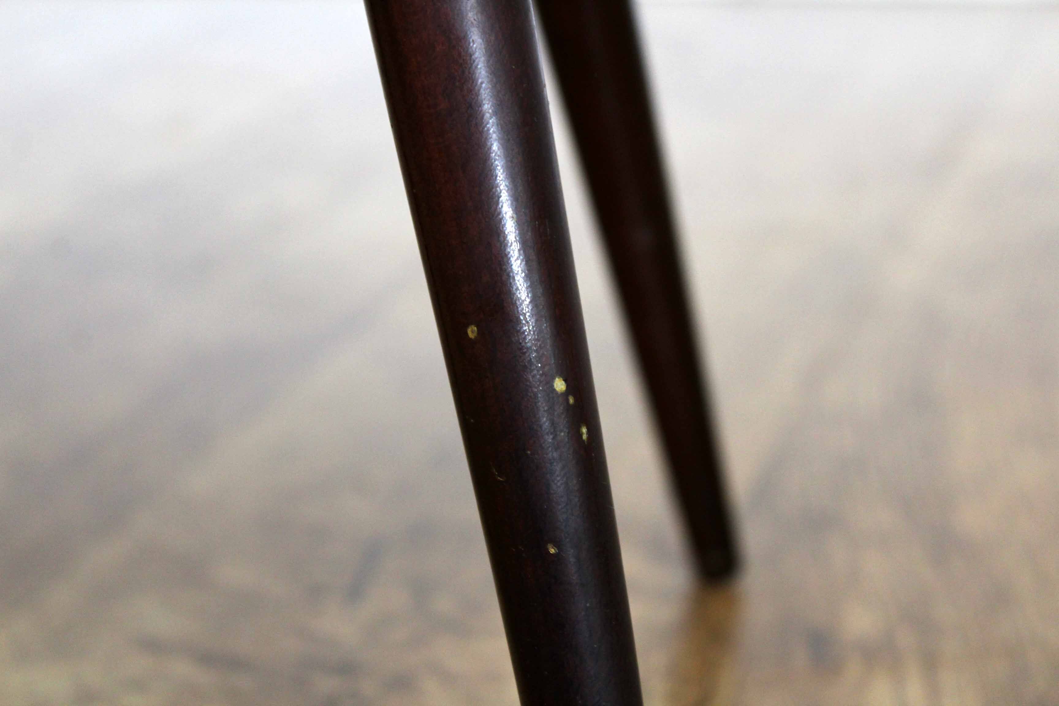 Tripod plants holder