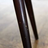 Tripod plants holder