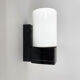 Mid-century Bakelite Wall Lamp, Czechoslovakia, 1960's
