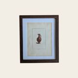 Ancient antique pottery engraving