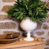 Cracked cream ceramic leech cup