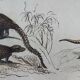 Original zoological plate "Siberian grey heron, palm tree,... - Buffon 1838