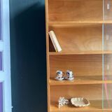 Scandinavian honey glazed bookcase