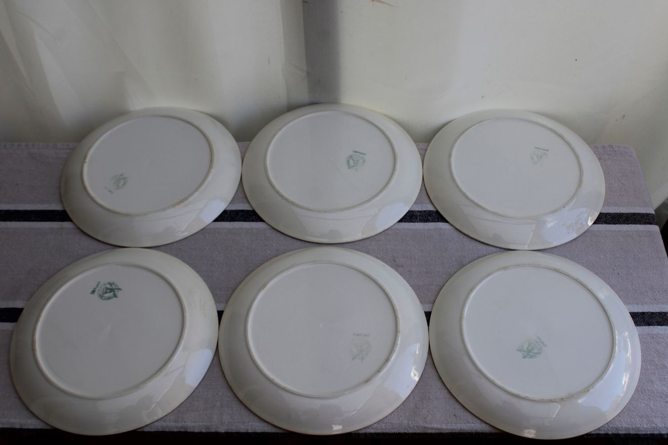 Lot de 6 assiettes plates en céramique