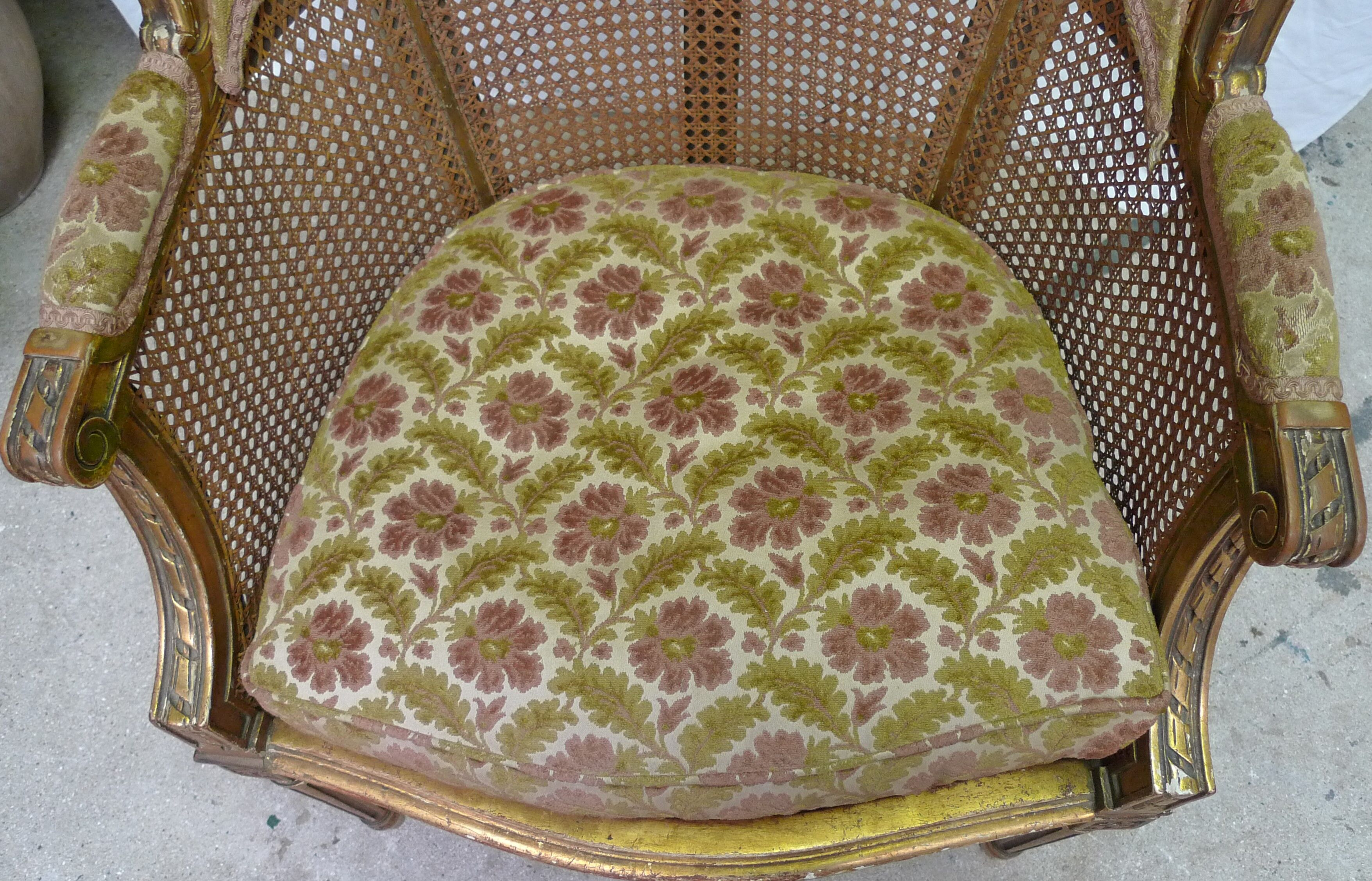 Bergere in ear canning