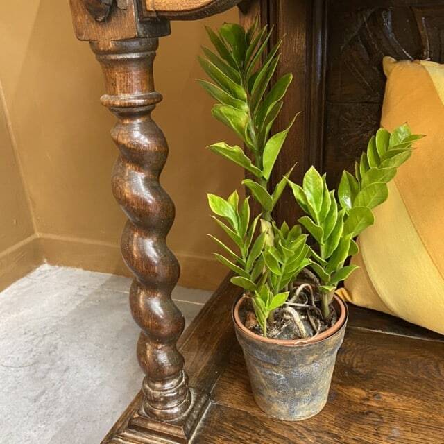 Antique carved wooden jam cupboard, two-part piece of furniture