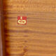Mid century teak wooden coffee table by G-Plan