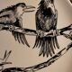 Assiette corbeau humoristique gien