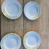 13 Richard Ginori flat and deep plates