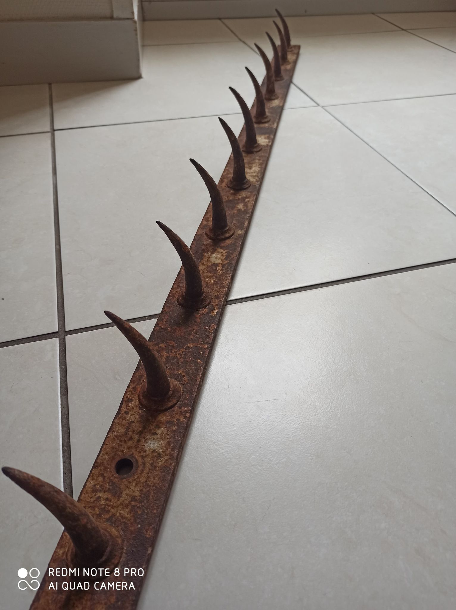 old bar teeth wolf hooks butcher deco indus