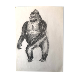 Gorilla Illustration