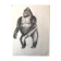 Gorilla Illustration