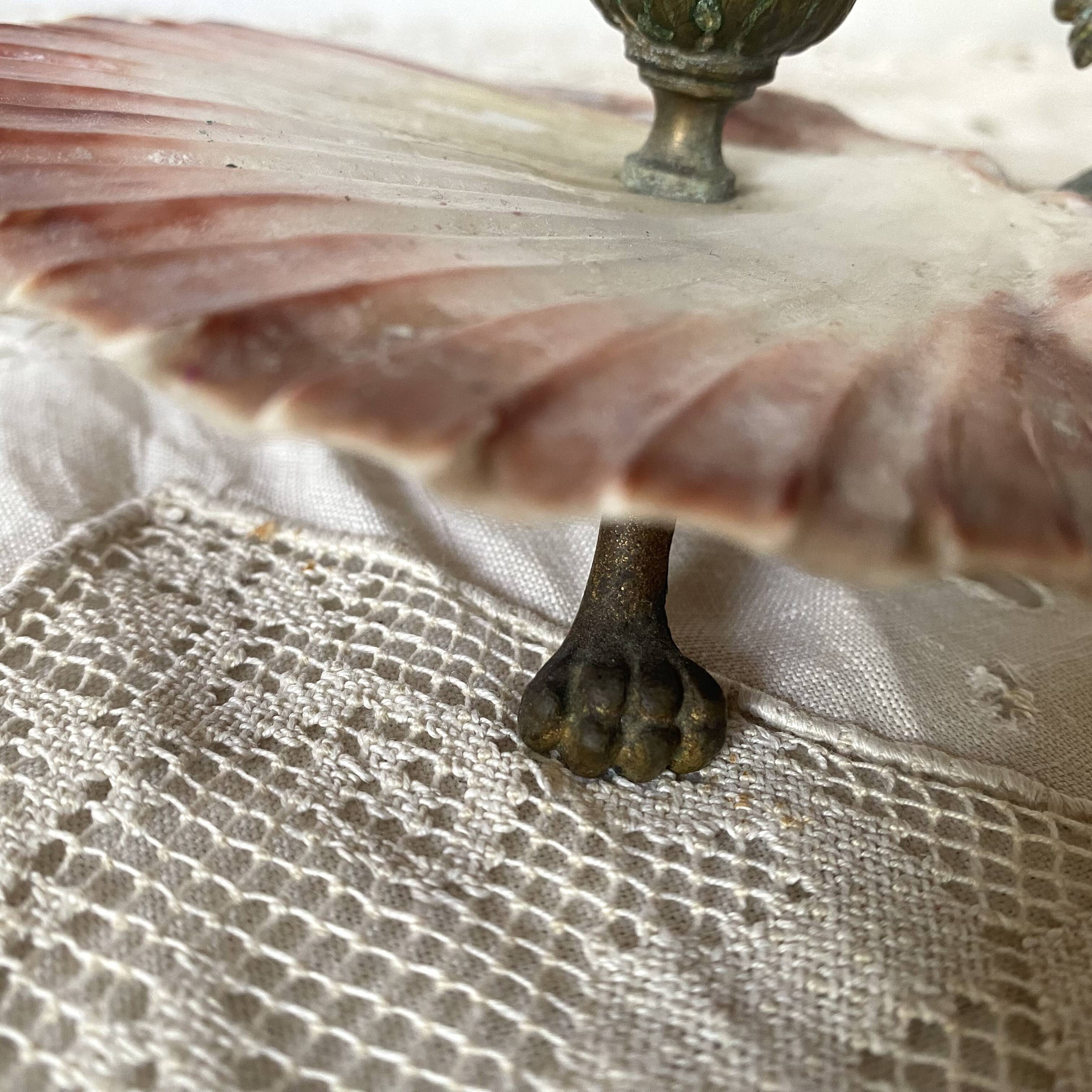 Scallop shell and lion paws candle holder