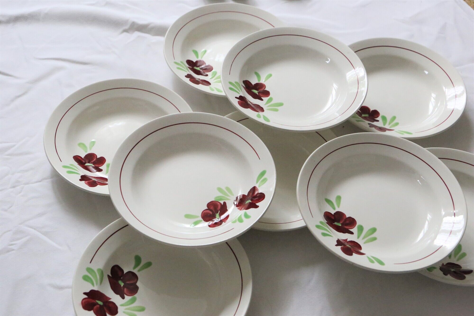 Set of 9 Salins hollow plates, Ninon pattern, French vintage, authentic, rare, countryside
