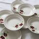 Set of 9 Salins hollow plates, Ninon pattern, French vintage, authentic, rare, countryside